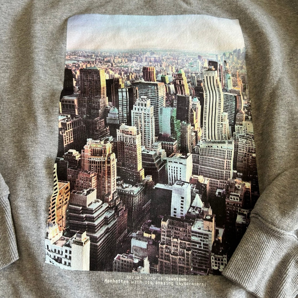 Zara NYC skyline gray sweatshirt Medium - Picture 3 of 5